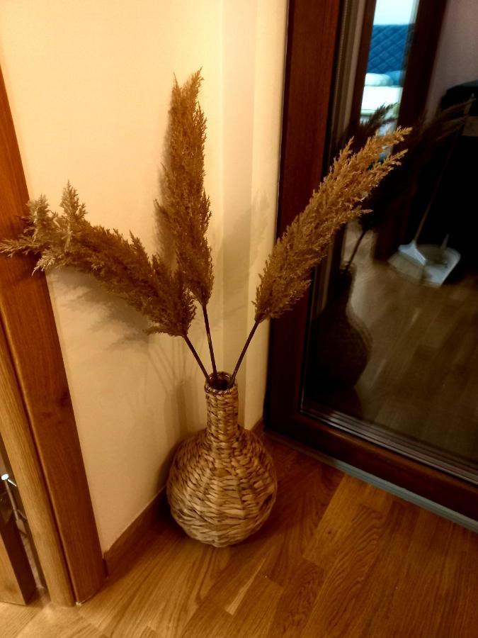 Zlatibor Apartman Luxury & Spa Dijana Kültér fotó
