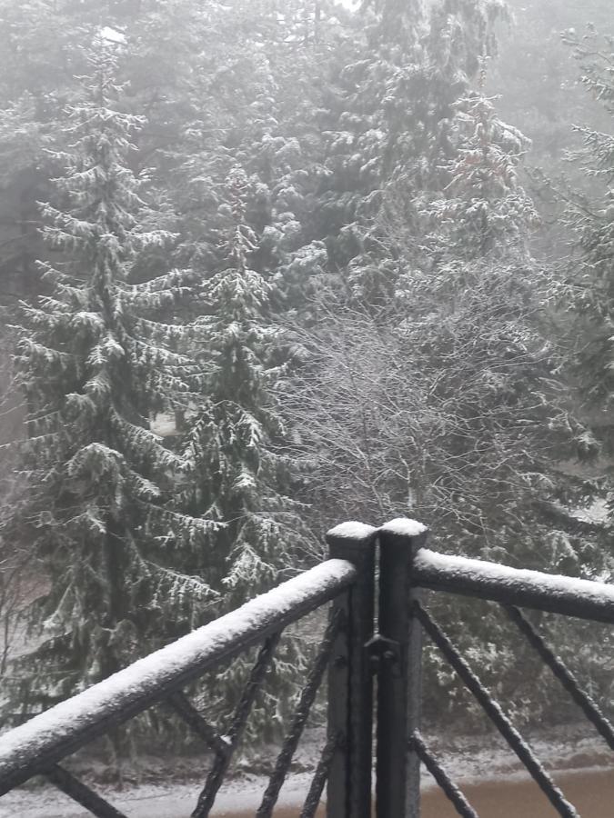 Zlatibor Apartman Luxury & Spa Dijana Kültér fotó