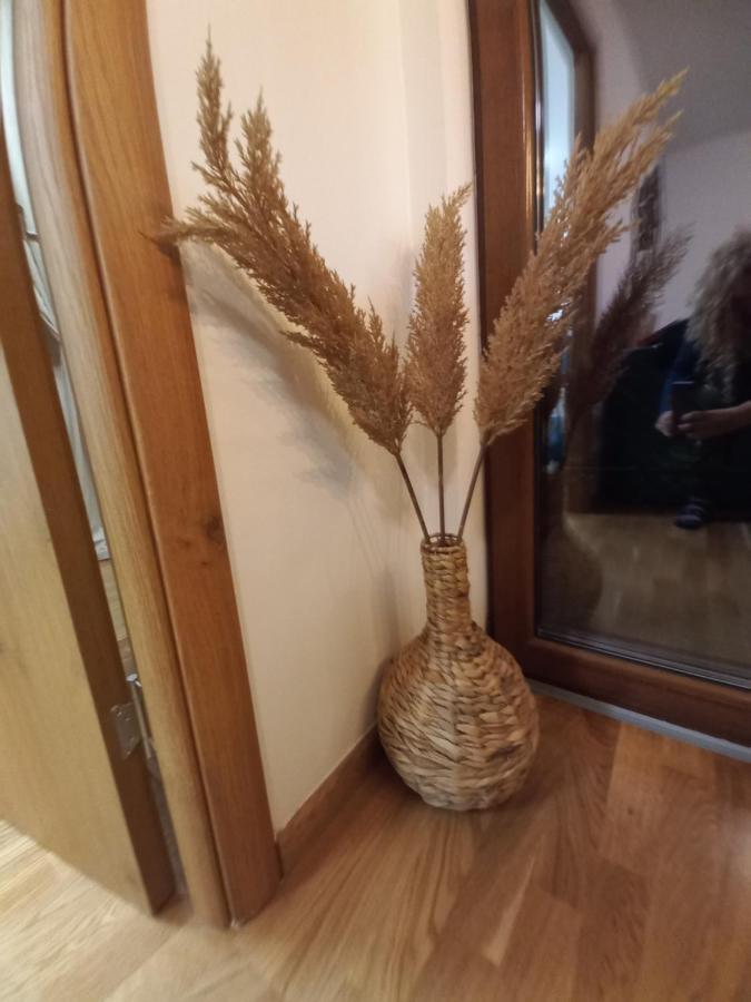 Zlatibor Apartman Luxury & Spa Dijana Kültér fotó