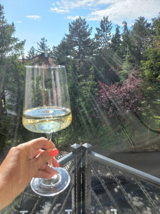 Zlatibor Apartman Luxury & Spa Dijana Kültér fotó