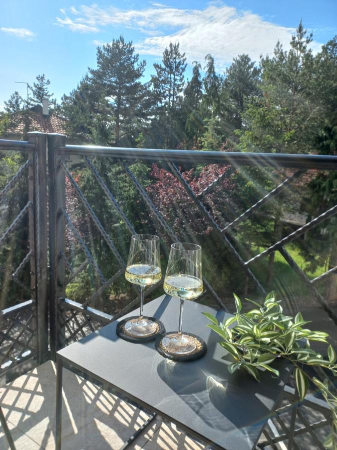 Zlatibor Apartman Luxury & Spa Dijana Kültér fotó